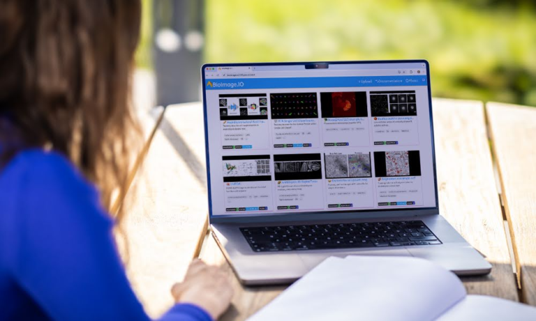 What Is Finnorth? Everything You Need to Know